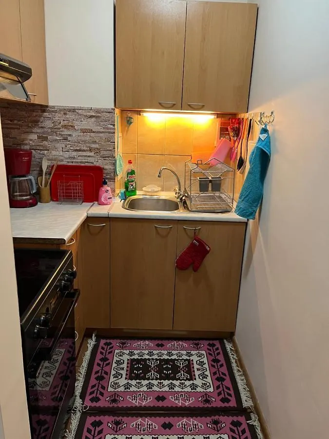 One Bedroom Apartment Near Downtown Sofía